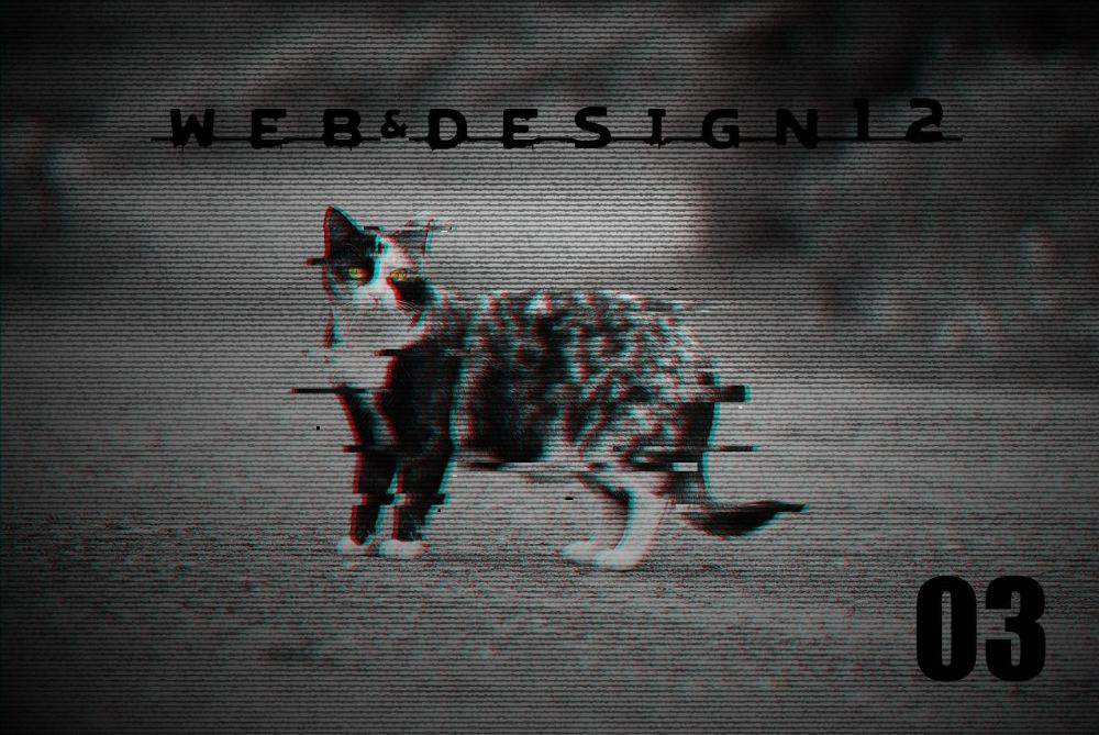 08.jpg